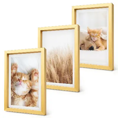 Conjunto de quadros decorativos com estampas de animais fofos, gatos e cachorros em estilo boho com grama delicada