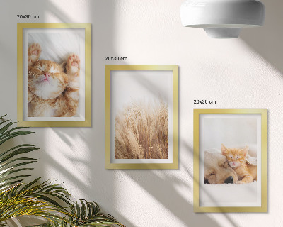 Conjunto de molduras com imagens Animais fofos, gatos, cachorros, grama delicada, estilo boho.