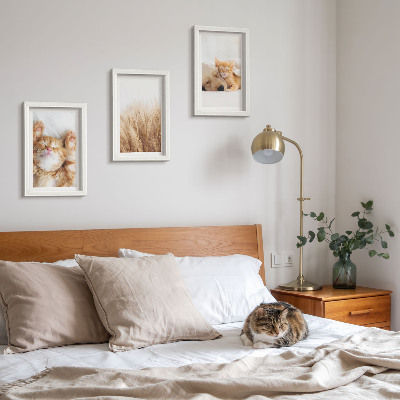Conjunto de molduras com imagens Animais fofos, gatos, cachorros, grama delicada, estilo boho.