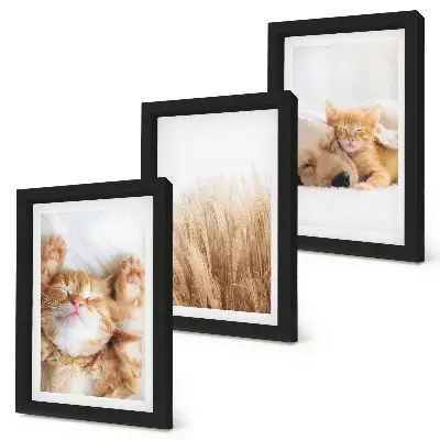 Conjunto de quadros decorativos com estampas de animais fofos, gatos e cachorros em estilo boho com grama delicada