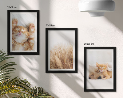 Conjunto de molduras com imagens Animais fofos, gatos, cachorros, grama delicada, estilo boho.