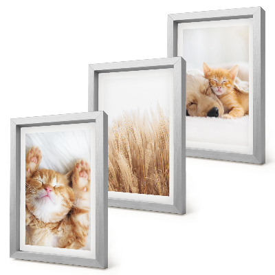 Conjunto de molduras com imagens Animais fofos, gatos, cachorros, grama delicada, estilo boho.