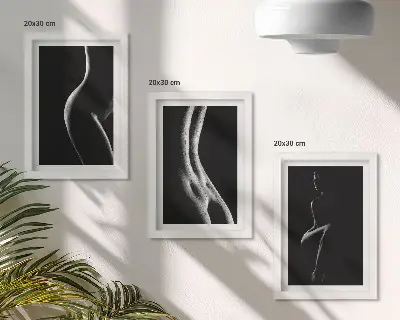 Tríptico com moldura e silhuetas femininas em preto e branco estilo erótico
