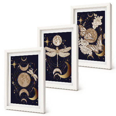 Tríptico com moldura Motivos da natureza com a lua, o espaço e flores.