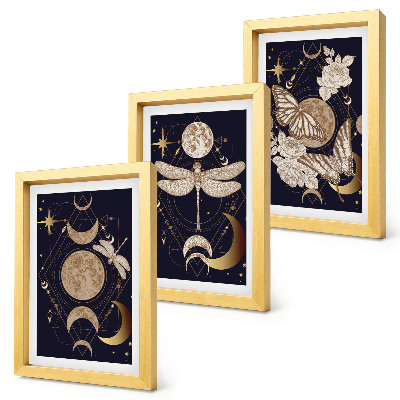 Tríptico com moldura Motivos da natureza com a lua, o espaço e flores.