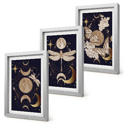 Tríptico com moldura Motivos da natureza com a lua, o espaço e flores.