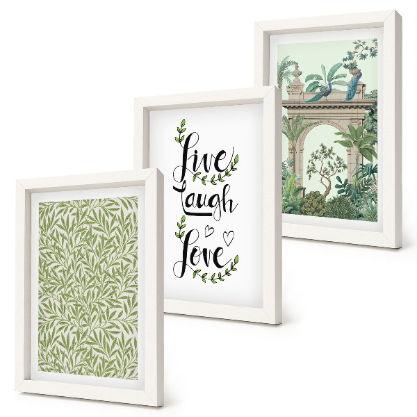 Conjunto de 3 quadros decorativos Folhas verdes, inscrições e plantas exóticas na arquitetura.