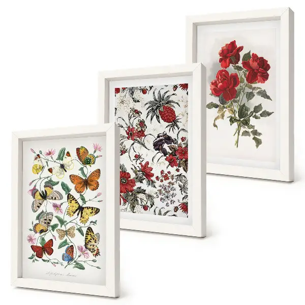 Conjunto de 3 quadros decorativos com estampas de borboletas, flores e rosas vermelhas em estilo clássico