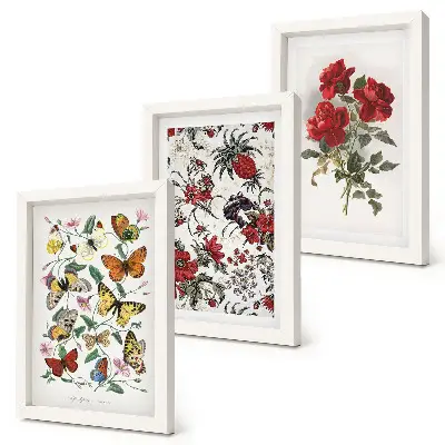 Conjunto de 3 quadros decorativos com estampas de borboletas, flores e rosas vermelhas em estilo clássico