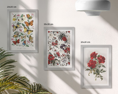 Conjunto de 3 quadros decorativos Borboletas, flores e rosas vermelhas em estilo clássico.
