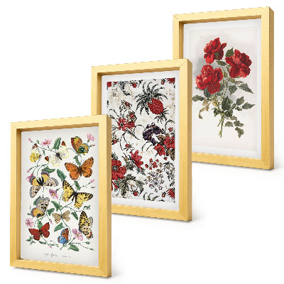 Conjunto de 3 quadros decorativos Borboletas, flores e rosas vermelhas em estilo clássico.