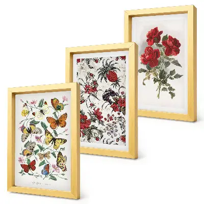 Conjunto de 3 quadros decorativos com estampas de borboletas, flores e rosas vermelhas em estilo clássico