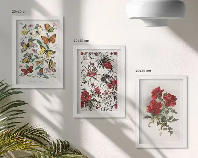 Conjunto de 3 quadros decorativos com estampas de borboletas, flores e rosas vermelhas em estilo clássico