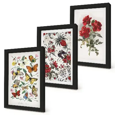 Conjunto de 3 quadros decorativos com estampas de borboletas, flores e rosas vermelhas em estilo clássico