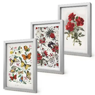 Conjunto de 3 quadros decorativos com estampas de borboletas, flores e rosas vermelhas em estilo clássico