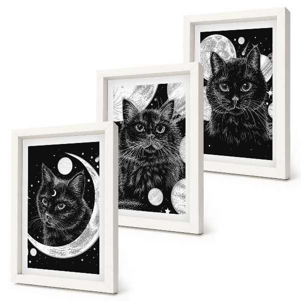 Tríptico com moldura Gatos pretos tendo como pano de fundo a lua e os planetas no espaço.