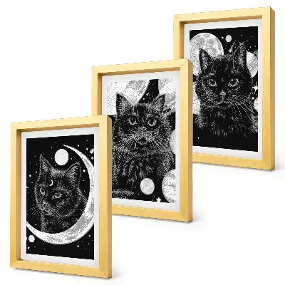Tríptico com moldura estampa de gatos pretos com a lua e planetas ao fundo