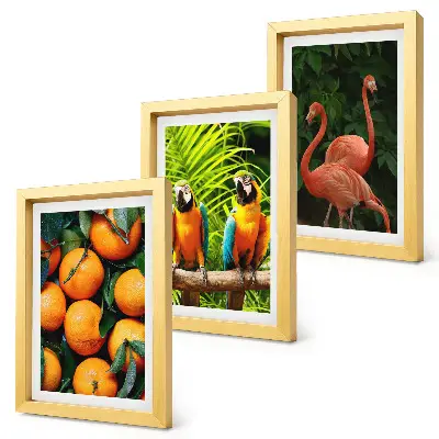 Conjunto de quadros com imagens toques frutados com papagaios e flamingos tropicais