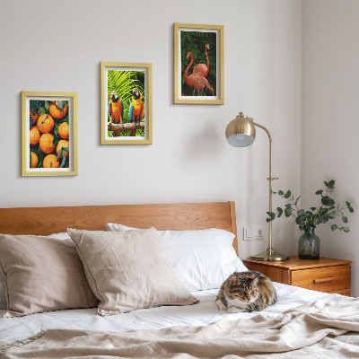 Conjunto de molduras com imagens Toques frutados com papagaios e flamingos nos trópicos.