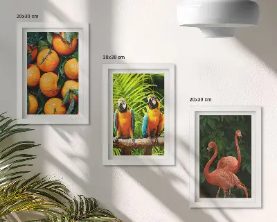 Conjunto de quadros com imagens toques frutados com papagaios e flamingos tropicais