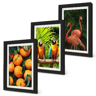Conjunto de quadros com imagens toques frutados com papagaios e flamingos tropicais