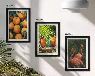 Conjunto de quadros com imagens toques frutados com papagaios e flamingos tropicais