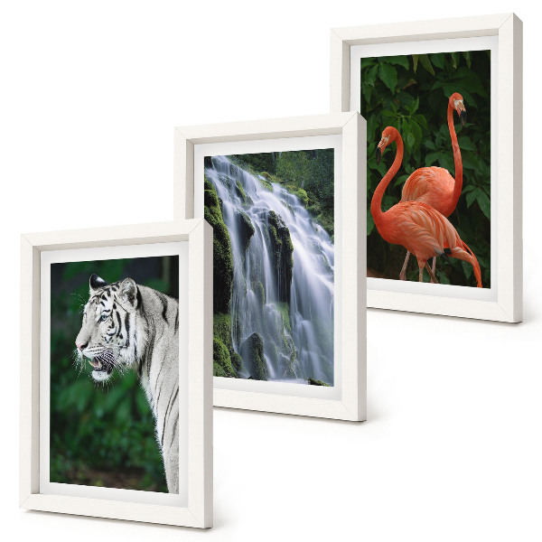 Tríptico com moldura Cachoeira do Tigre e flamingos cor-de-rosa na natureza