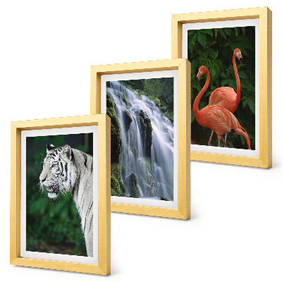 Tríptico com moldura Cachoeira do Tigre e flamingos cor-de-rosa na natureza