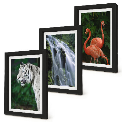 Tríptico com moldura Cachoeira do Tigre e flamingos cor-de-rosa na natureza