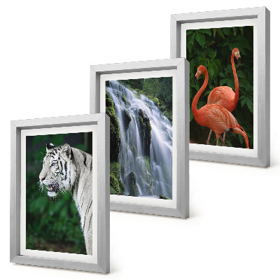 Tríptico com moldura Cachoeira do Tigre e flamingos cor-de-rosa na natureza