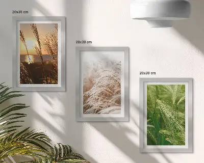 Tríptico com moldura diferentes tipos de grama com natureza colorida