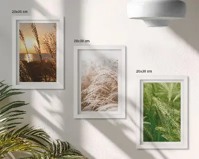 Tríptico com moldura diferentes tipos de grama com natureza colorida