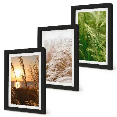 Tríptico com moldura diferentes tipos de grama com natureza colorida