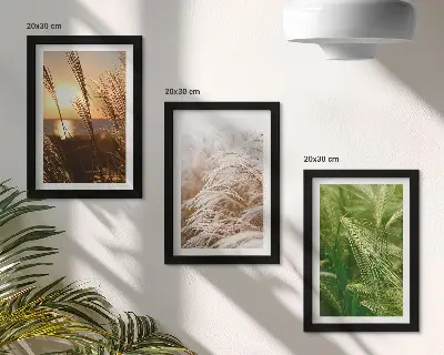 Tríptico com moldura diferentes tipos de grama com natureza colorida