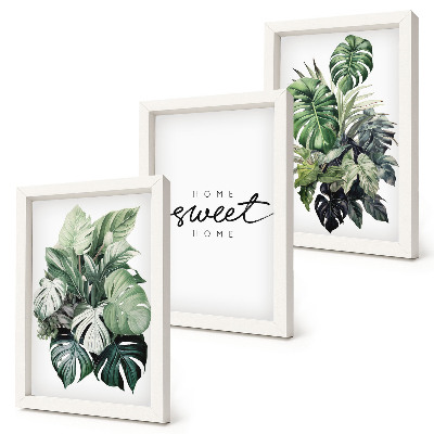 Conjunto de molduras com imagens Plantas verdes com a inscrição 