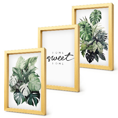 Conjunto de molduras com imagens Plantas verdes com a inscrição 