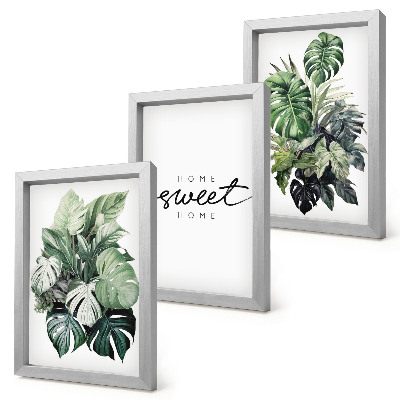 Conjunto de molduras com imagens Plantas verdes com a inscrição 