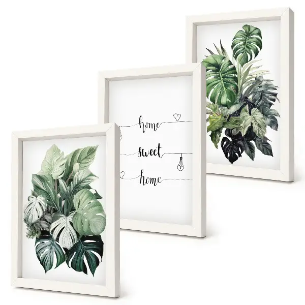 Conjunto de 3 quadros decorativos com estampa de folhas de monstera em aquarela Lar Doce Lar
