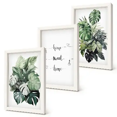 Conjunto de 3 quadros decorativos com estampa de folhas de monstera em aquarela Lar Doce Lar