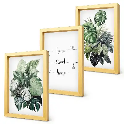Conjunto de 3 quadros decorativos com estampa de folhas de monstera em aquarela Lar Doce Lar