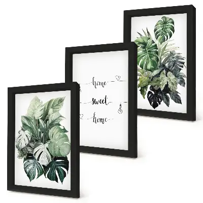 Conjunto de 3 quadros decorativos com estampa de folhas de monstera em aquarela Lar Doce Lar