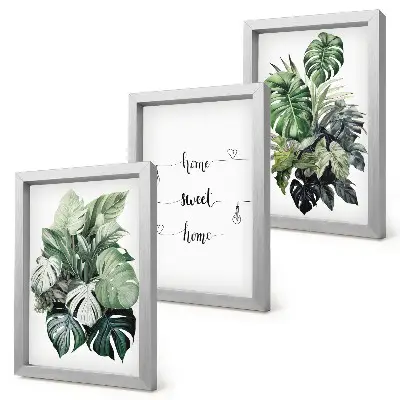 Conjunto de 3 quadros decorativos com estampa de folhas de monstera em aquarela Lar Doce Lar