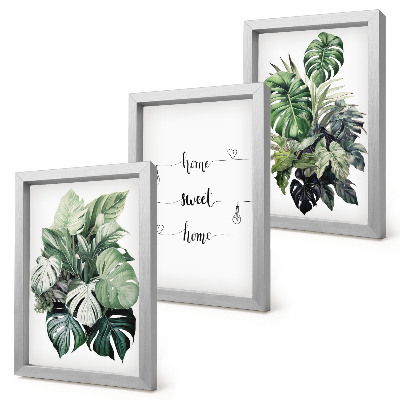 Conjunto de 3 quadros decorativos Folhas de Monstera em aquarela - Lar Doce Lar