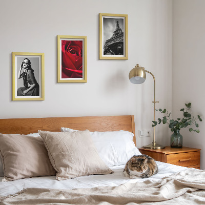 Conjunto de molduras com imagens Mulher parisiense com óculos cor-de-rosa e a Torre Eiffel.