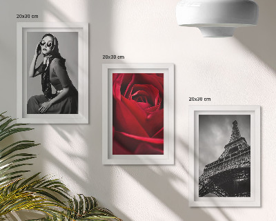 Conjunto de molduras com imagens Mulher parisiense com óculos cor-de-rosa e a Torre Eiffel.