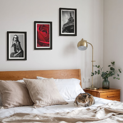 Conjunto de molduras com imagens Mulher parisiense com óculos cor-de-rosa e a Torre Eiffel.
