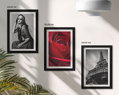 Conjunto de molduras com imagens Mulher parisiense com óculos cor-de-rosa e a Torre Eiffel.