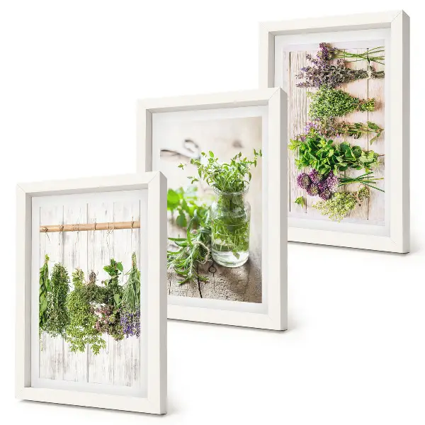 Conjunto de molduras com imagens para secar ervas e plantas na cozinha