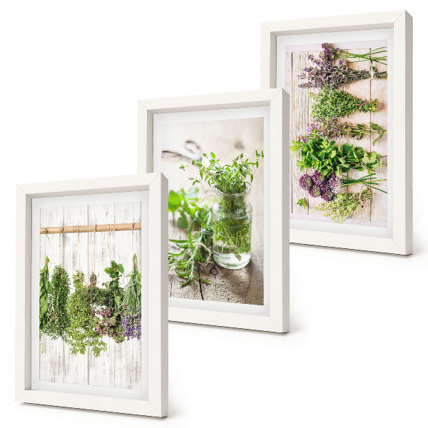 Conjunto de molduras com imagens Secar ervas e plantas para a cozinha.