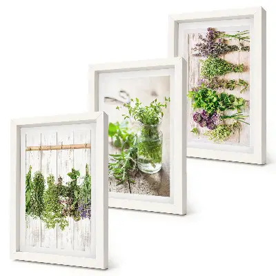 Conjunto de molduras com imagens para secar ervas e plantas na cozinha